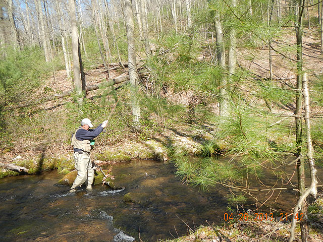 poe trip 04-26-2013 008.jpg -                                I actually lost this fish. But, he counts cause I got him in.  